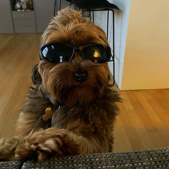 Product image 5 of 9