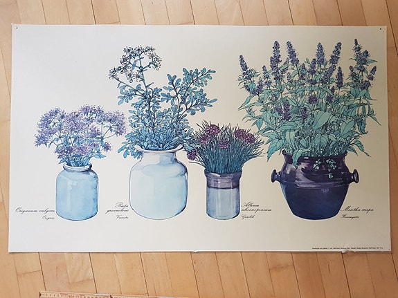 Product image 1 of 8