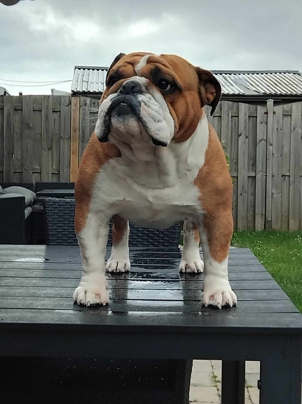 Product image 2 of 10