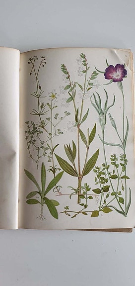 Product image 1 of 8