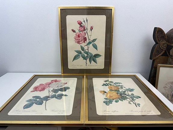 Product image 1 of 8