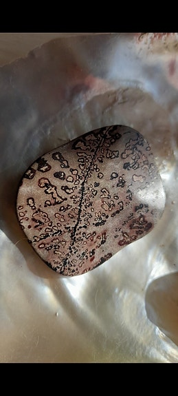 Product image 1 of 8