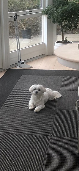 Product image 1 of 7