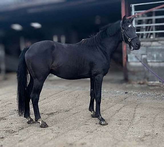 Product image 1 of 10