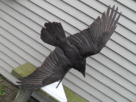 Product image 1 of 8