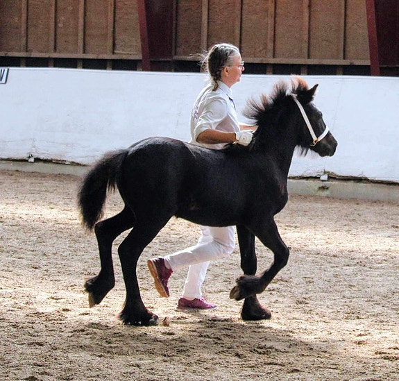 Product image 2 of 9