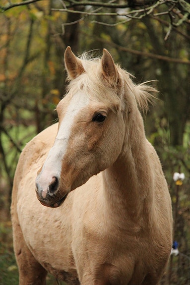 Product image 1 of 8