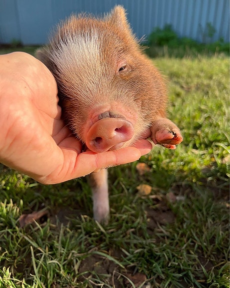 Product image 1 of 8