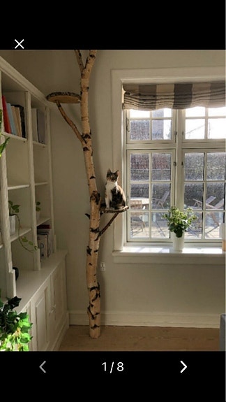 Product image 1 of 8