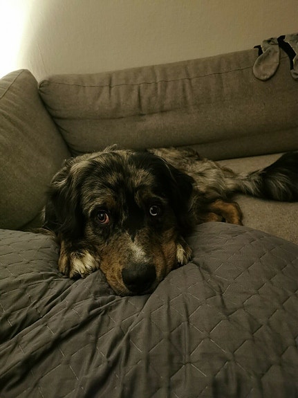 Product image 1 of 7