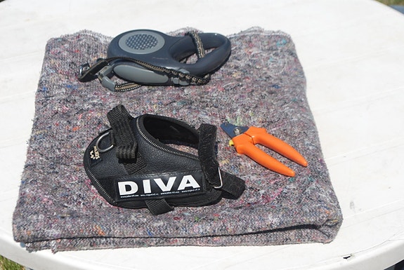 Product image 1 of 4