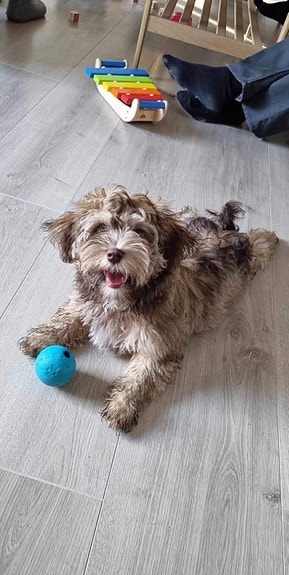 Product image 4 of 7