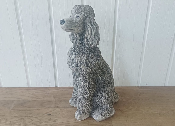 Product image 1 of 8