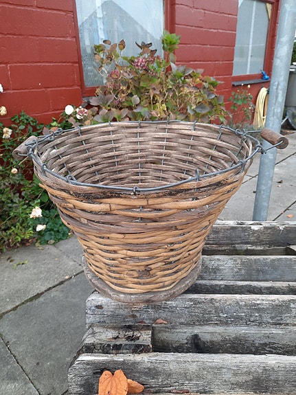 Product image 1 of 8