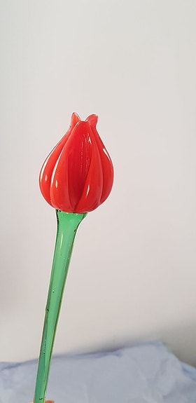 Product image 1 of 8