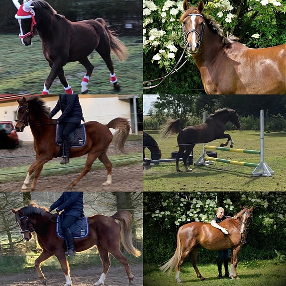 Product image 1 of 4