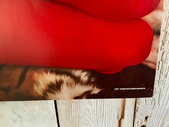 Product image 3 of 8