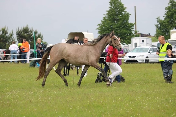 Product image 3 of 9