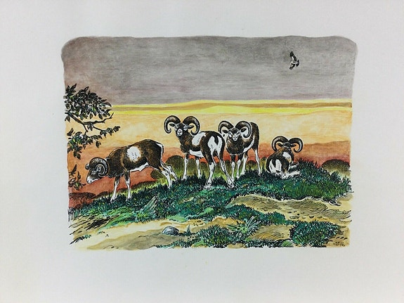 Product image 4 of 8