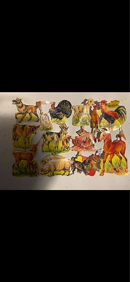 Product image 6 of 8