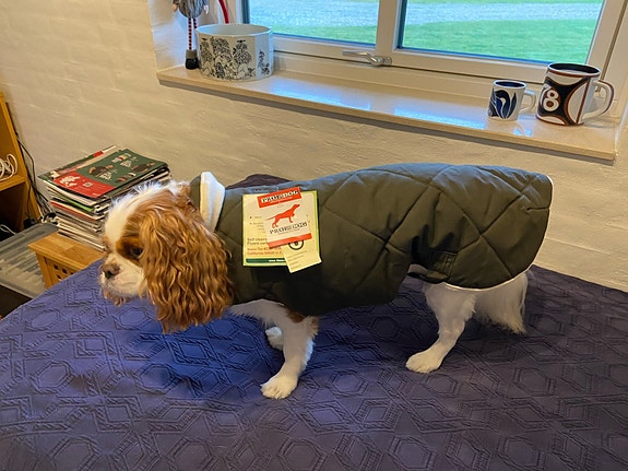 Product image 8 of 8