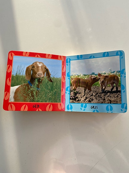 Product image 5 of 8