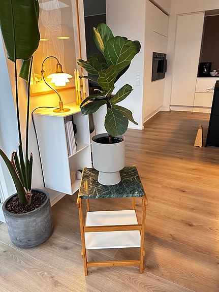 Product image 1 of 7