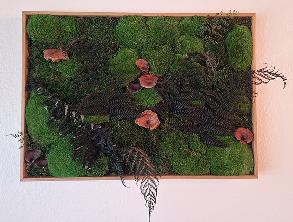 Product image 1 of 6