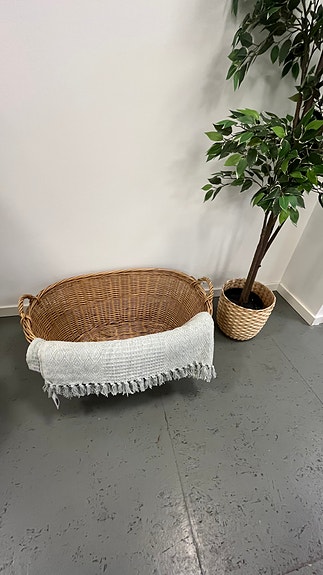 Product image 17 of 37