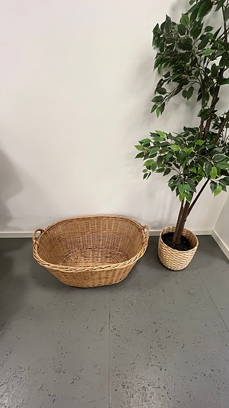 Product image 16 of 37