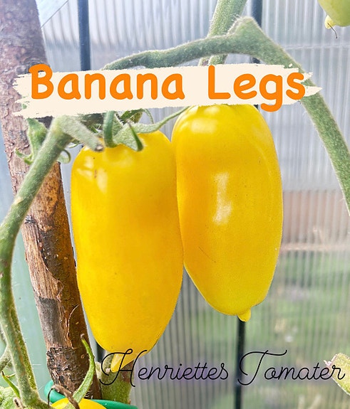 Product image 41 of 45