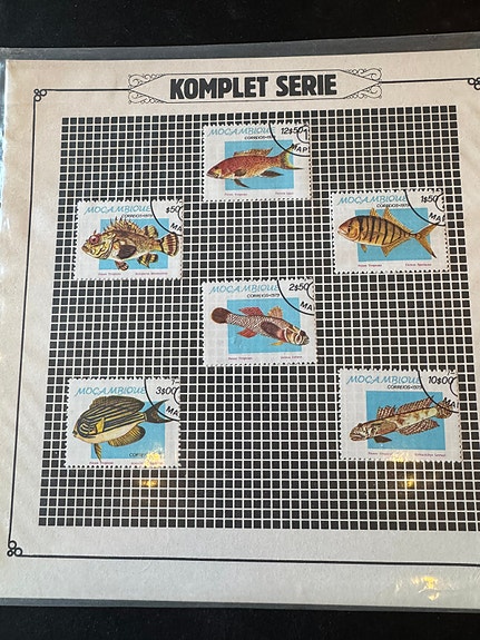 Product image 7 of 10