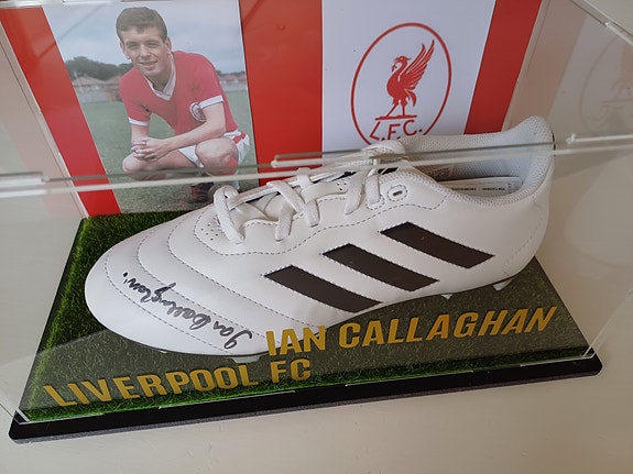 Product image 1 of 7