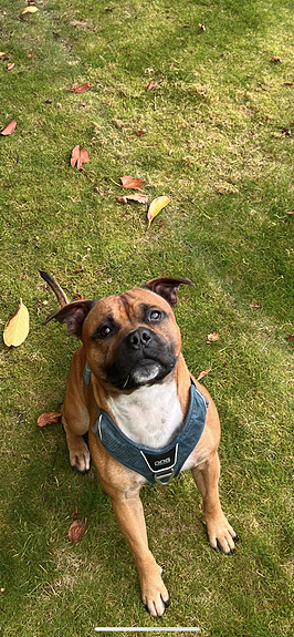 Product image 1 of 7