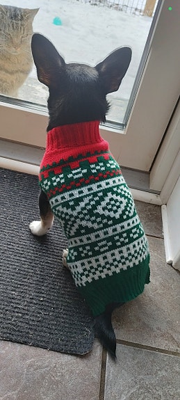 Product image 1 of 5