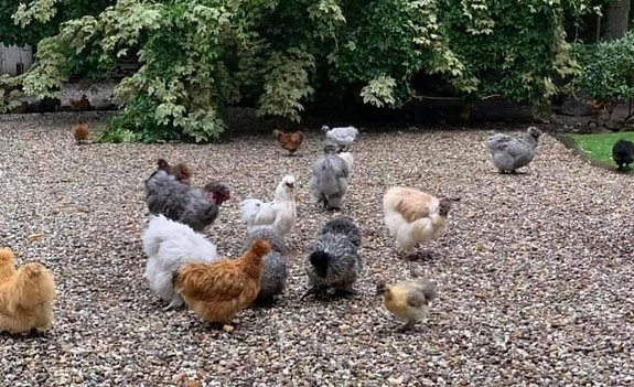 Product image 8 of 10