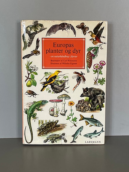 Product image 1 of 8