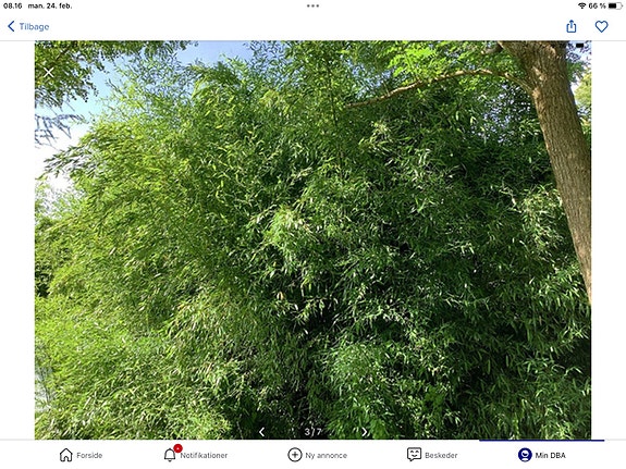 Product image 1 of 10