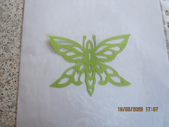 Product image 19 of 71