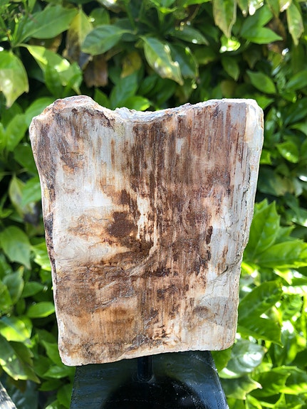 Product image 11 of 11
