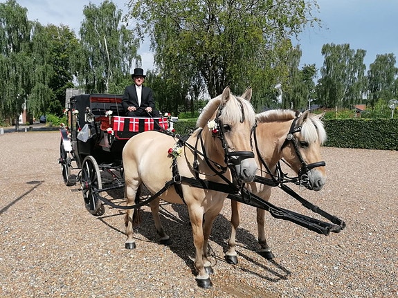 Product image 1 of 9