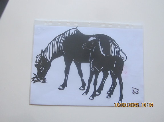 Product image 12 of 52