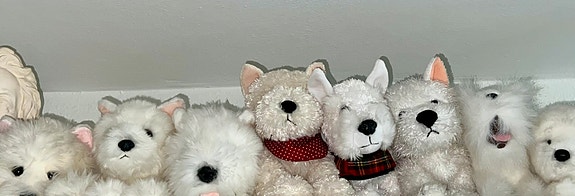 Product image 15 of 27