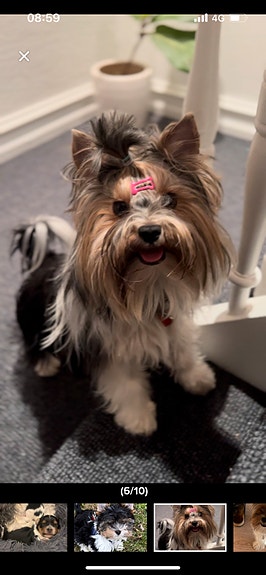 Product image 2 of 10