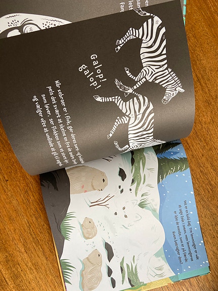 Product image 13 of 17