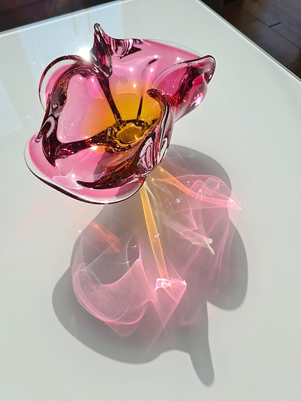 Product image 11 of 16