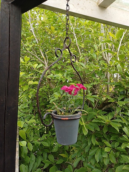 Product image 1 of 10