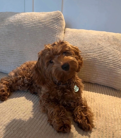 Product image 5 of 8