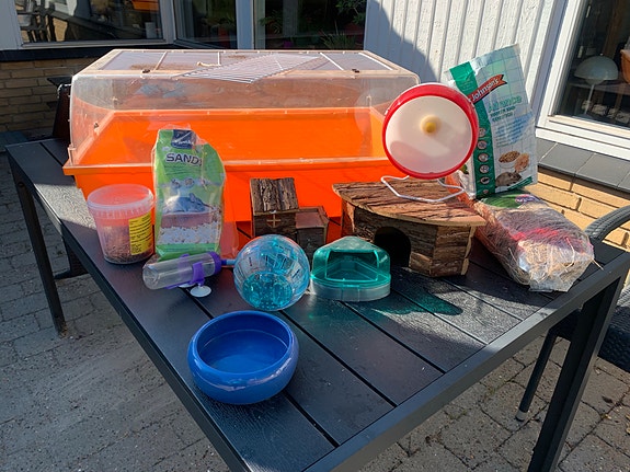 Product image 2 of 10