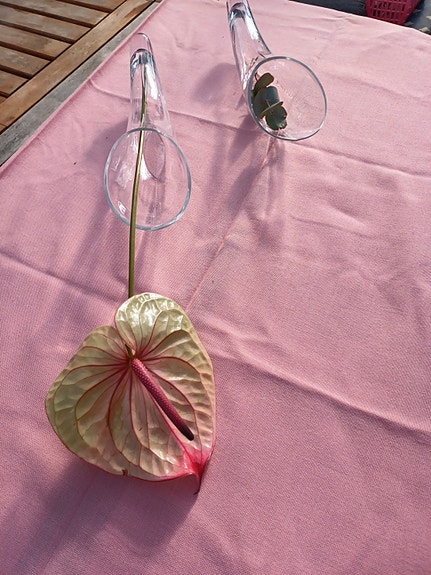 Product image 12 of 14